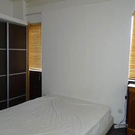 Duplex 公寓 阿讷西